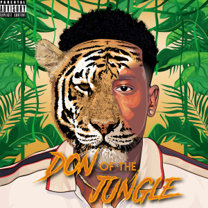 Dengarkan Goin Up (Explicit) lagu dari YL Donny dengan lirik