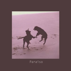 ดาวน์โหลดและฟังเพลง Paraíso พร้อมเนื้อเพลงจาก Das Neves