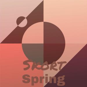 收聽Lison Bore的Skort Spring歌詞歌曲