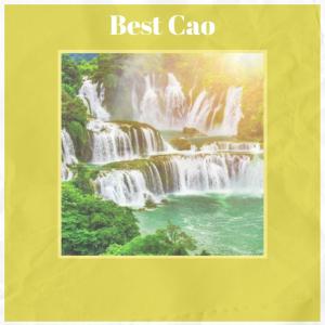 Album Best Cao from Various