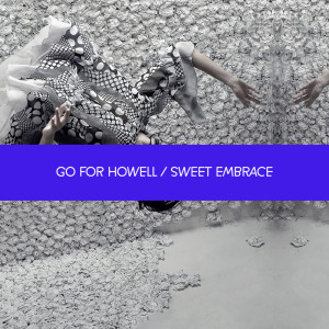 收聽Go For Howell的Won't You Wait For Me歌詞歌曲