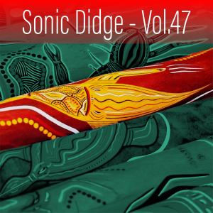 Ash Dargan的专辑Sonic Didge, Vol. 47
