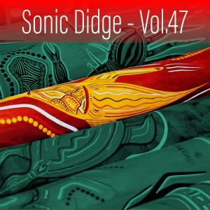 Album Sonic Didge, Vol. 47 from Ash Dargan