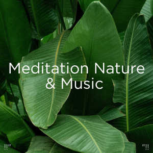 收聽BodyHI的Nature Music歌詞歌曲