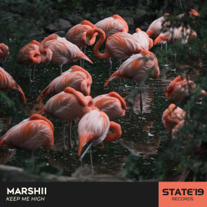 Listen to Keep Me High (Explicit) song with lyrics from Marshii