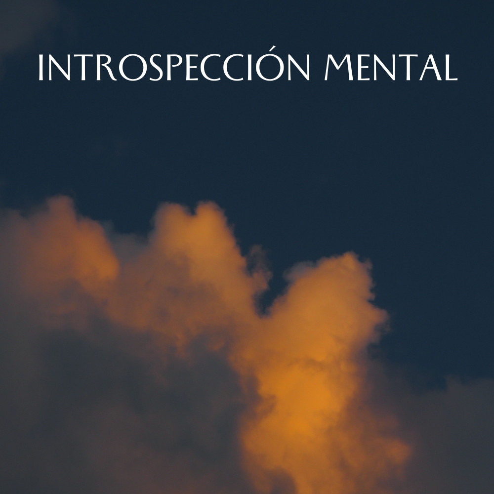 Húmedad Sin Problemas
