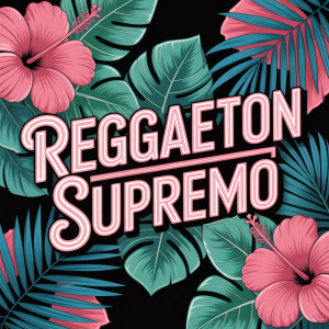 Reggaeton Supremo的專輯Bandido Elegante