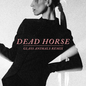 收聽Hayley Williams的Dead Horse (Glass Animals Remix)歌詞歌曲
