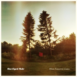Listen to Take It Easy On Your Man song with lyrics from One-Eyed Mule