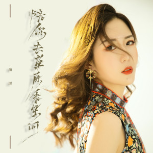 收聽海淇的陪你去草原看星河 (DJ版)歌詞歌曲
