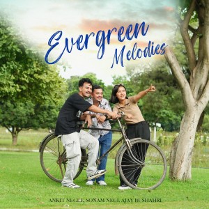 Listen to Evergreen Melodies song with lyrics from Ankit Negee
