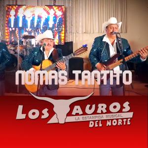 ดาวน์โหลดและฟังเพลง Nomás Tantito พร้อมเนื้อเพลงจาก Los Tauros del Norte