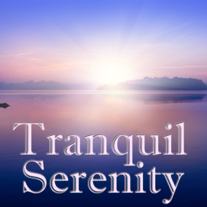 Album Tranquil Serenity, Vol.5 from Procyon