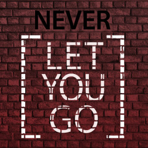 Never Let You Go (Explicit)