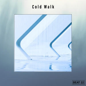 Various Artists的專輯Cold Walk Beat 22