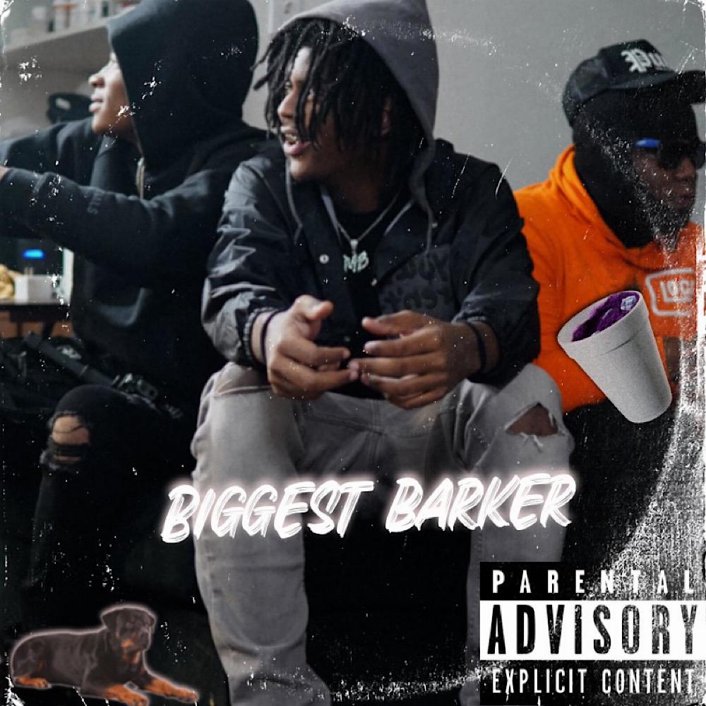 Twerk show (feat. Dman loww & Carvie p) (Explicit)