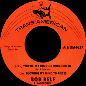 ดาวน์โหลดและฟังเพลง Blowing My Mind To Pieces พร้อมเนื้อเพลงจาก Bob Relf