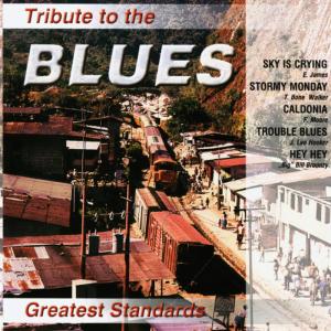ดาวน์โหลดและฟังเพลง Sky is crying พร้อมเนื้อเพลงจาก Mietek Blues Band