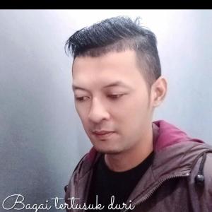 Dengarkan lagu Bagai Tertusuk Duri nyanyian Ardie Wibowo dengan lirik