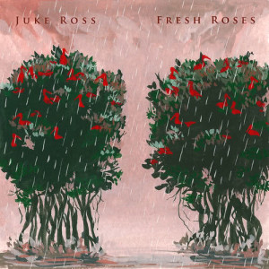 收聽Juke Ross的Fresh Roses歌詞歌曲