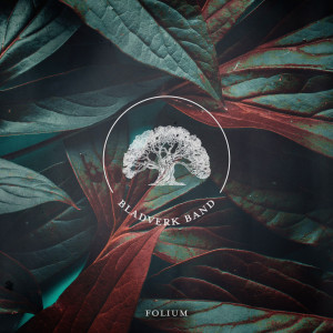 收听Bladverk Band的Voile歌词歌曲