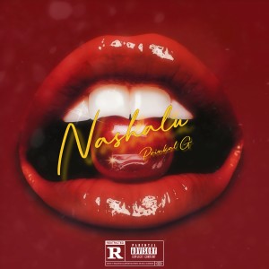 Listen to Nashalu (Explicit) song with lyrics from Prinkal G