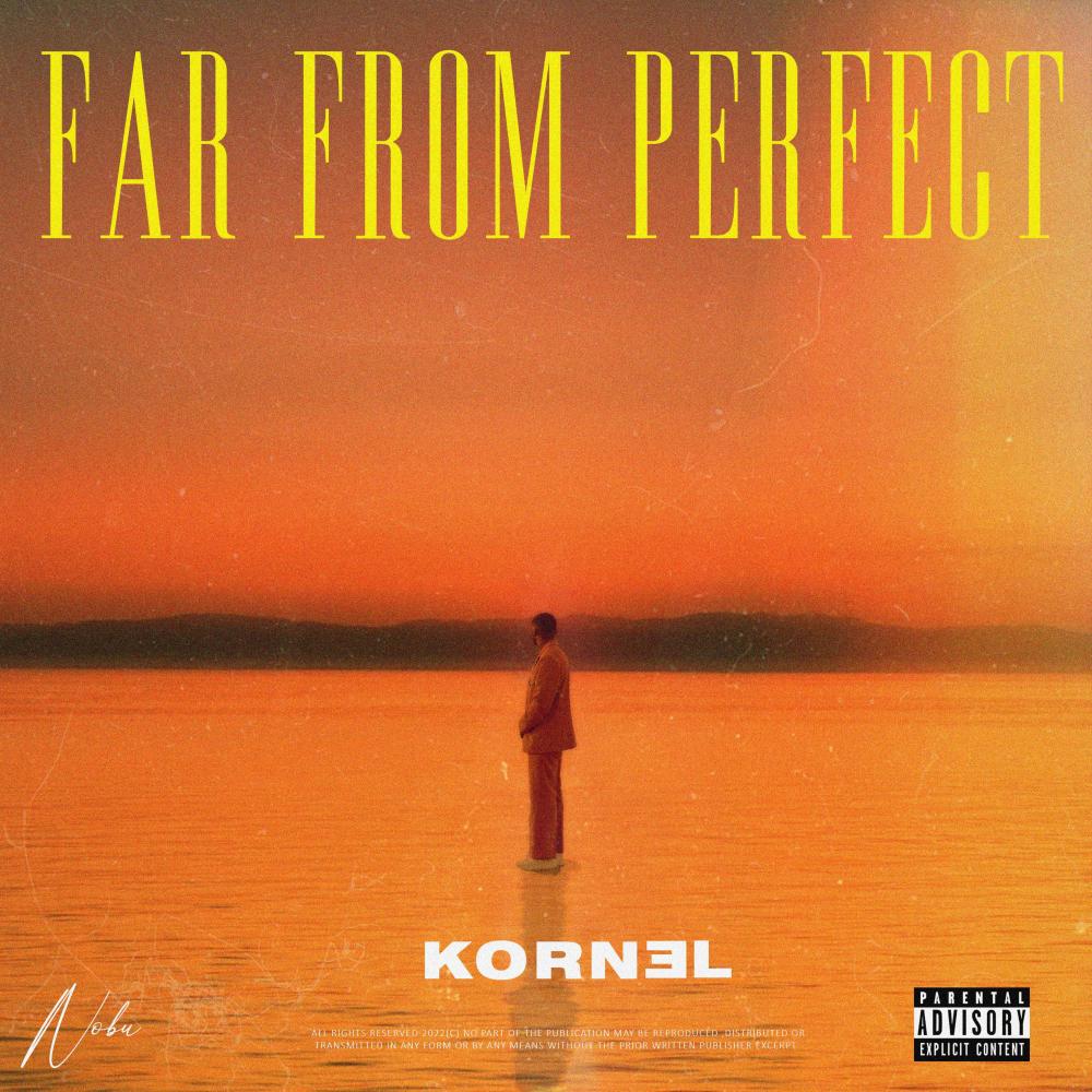 F A R  F R O M  P E R F E C T