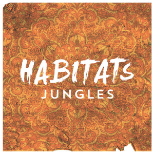 Jungles - Single