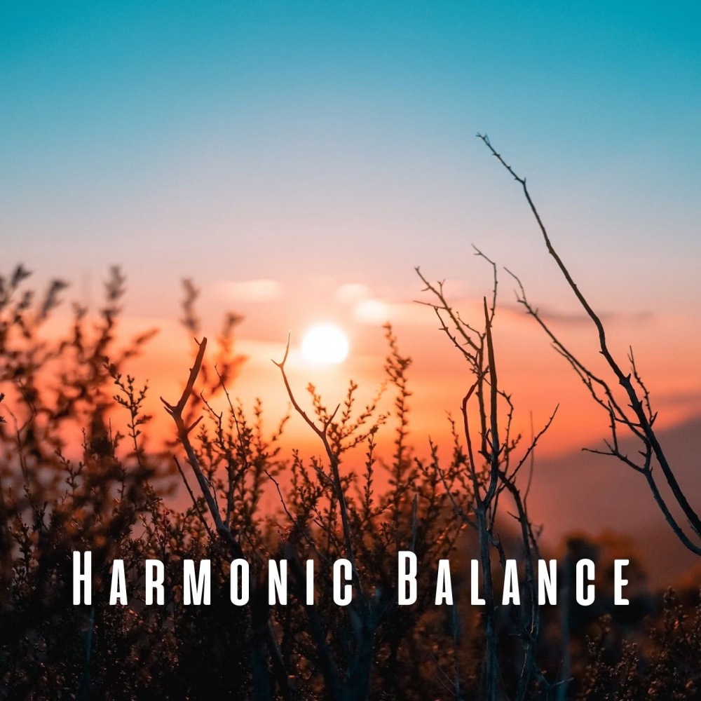 Chill Music for Harmonic Massage