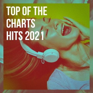 Top 40 Hits的专辑Top of the Charts Hits 2021
