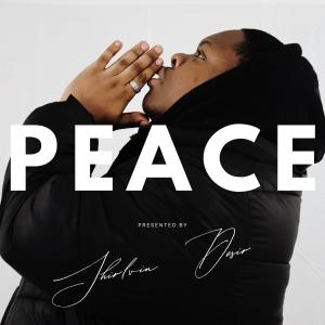 shirlvin desir的專輯PEACE (There For You)