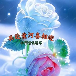Album 共赴爱河喜相迎 from 小阿贵