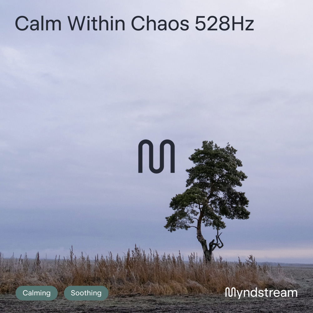 Calm Within Chaos 528Hz