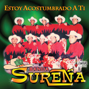 收聽Banda Sureña的Tu Aventura歌詞歌曲