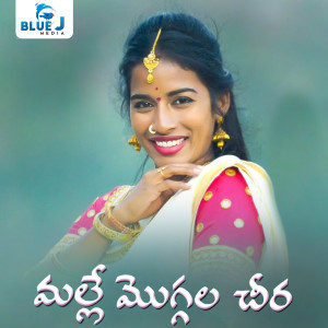 Listen to Malle Moggala Chira song with lyrics from Varam