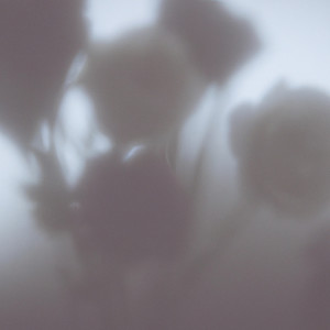 Album Unspoken from Valotihkuu