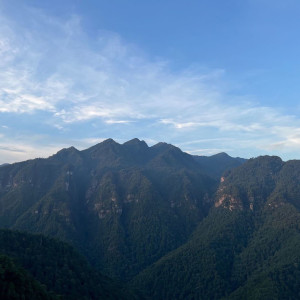 羅頤景的專輯大自然療愈音樂 放鬆舒緩 深度睡眠 助眠白噪音