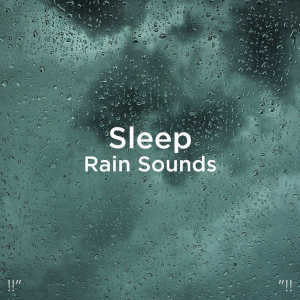 Listen to Sleep Rain Sounds song with lyrics from Rain Sounds