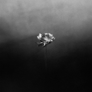 ดาวน์โหลดและฟังเพลง Flood (Explicit) พร้อมเนื้อเพลงจาก Little Simz