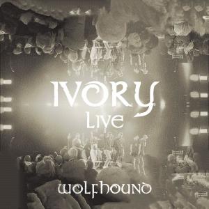 收聽Wolfhound的Step It Out Mary (Live)歌詞歌曲