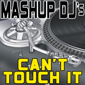 Mashup DJ's的專輯Can't Touch It (Remix Tools for Mash-Ups)