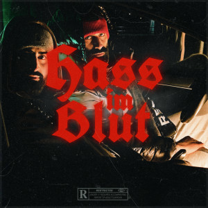 Listen to Hass im Blut (Explicit) song with lyrics from Ronas
