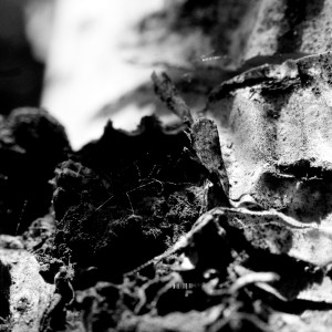 收听Substencia的Mouth of Krishna歌词歌曲