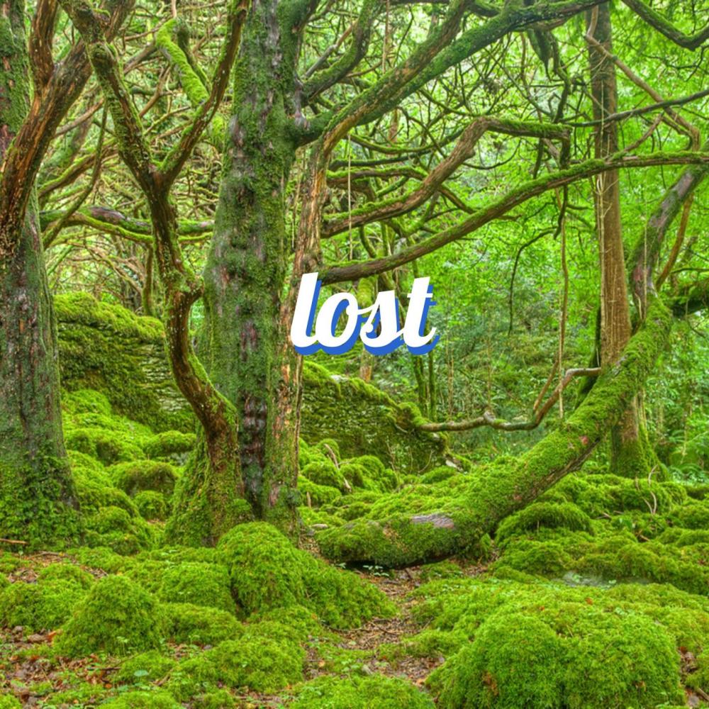 lost