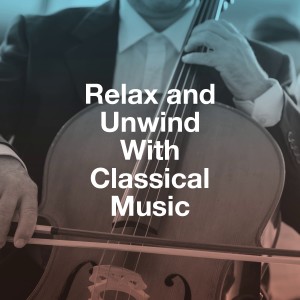 Various Artists的专辑Relax and Unwind with Classical Music