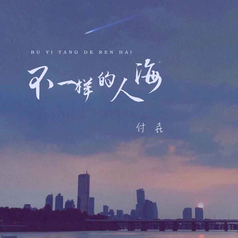 不一样的人海 (DJ楠哈哈版)