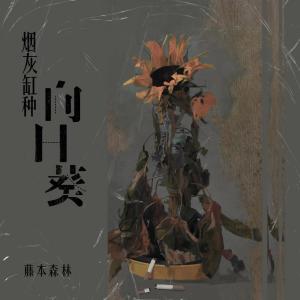 Dengarkan 烟灰缸种向日葵 lagu dari 藤本森林 dengan lirik