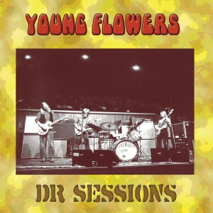 ดาวน์โหลดและฟังเพลง The Pusher พร้อมเนื้อเพลงจาก Young Flowers