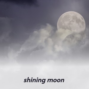 Dengarkan Ballad of the Alamo lagu dari Bud And Travis dengan lirik