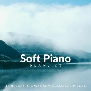 Soft Piano Playlist: 14 Relaxing and Calm Classical Pieces dari Amy Mary Collins